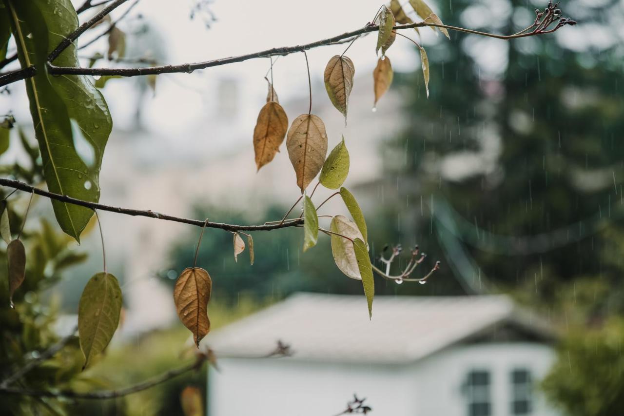 The Garden Apartment Nazareth Luaran gambar